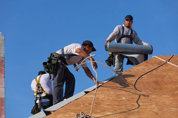 Best Metal Roofing Contractor  in Woodstock, VA