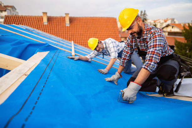 Best Storm Damage Roof Repair  in Woodstock, VA