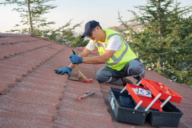 Best Gutter Installation and Roofing  in Woodstock, VA