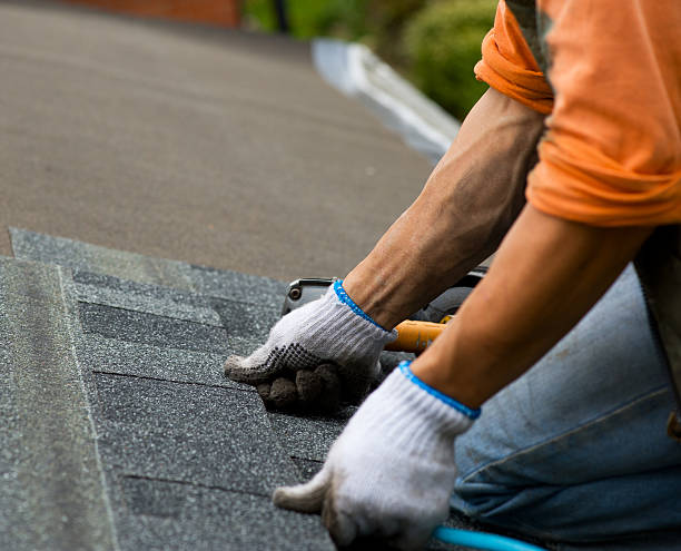 Best Roof Inspection Near Me  in Woodstock, VA
