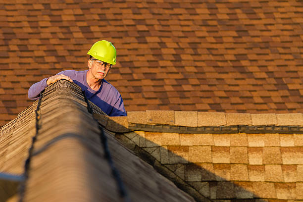 Best Local Roofing Companies  in Woodstock, VA