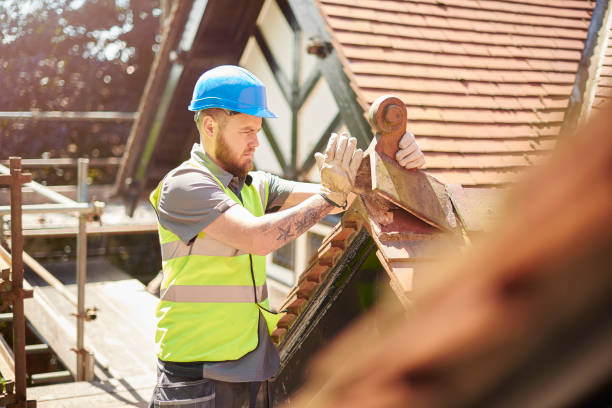 Best Roof Gutter Cleaning  in Woodstock, VA